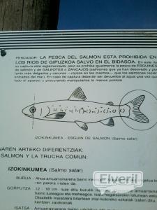 cartel de esguin (atzolaras)granada-erreka(Urola), sent by: ENEKO