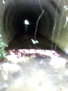 el veril pesca, enviado por: evp (No registrado)
