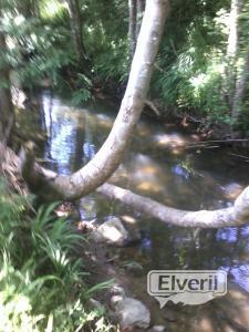 el veril pesca , enviado por: evp (No registrado)