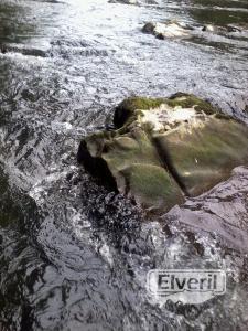 el veril pesca, enviado por: evp (No registrado)