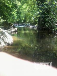 pesca, enviado por: pesca (No registrado)