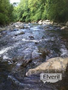 rios asturianos, enviado por: asturies (No registrado)