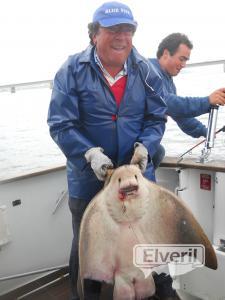 Javier, con una raya de 20 kg.a bordo del Maregalia1º, charter., sent by: Pesca charter en el Maregalia 1º Rías Baixas  (Not registered)
