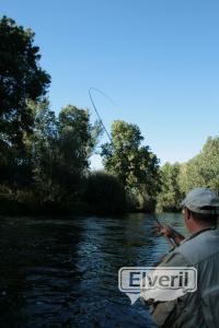 Pescando en Salamanca, enviado por: Administrador