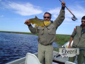 Dorados en Corrientes, sent by: Johansen