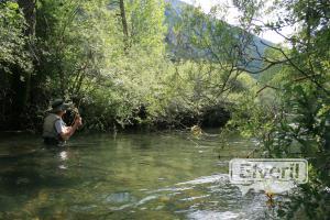 RIBERA LUIS PESCANDO, sent by: Administrador