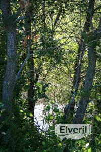 El rio entre los arboles, enviado por: Administrador