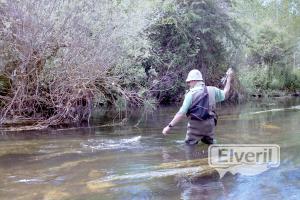 Pescando, enviado por: kazan