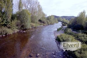 Desde el puente, envoyé par: creek