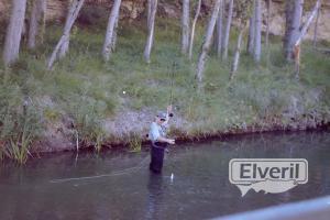 Untitled image, sent by: creek