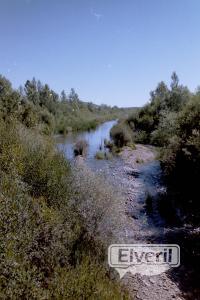 desde el puente, envoyé par: el cormoran (Non enregistré)