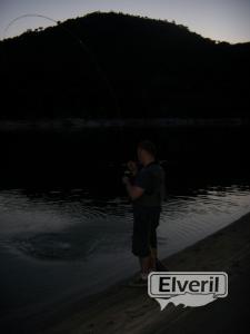 Barbo al sereno, enviado por: Giovitch