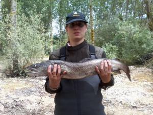 hucho 73cm, sent by: hym