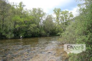 Tabla de REMELLAN, envoyé par: creek