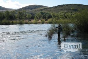 Pescando, enviado por: El Andarrios