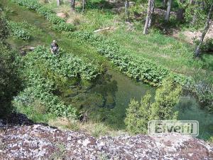 Clarita el agua, sent by: El Andarrios