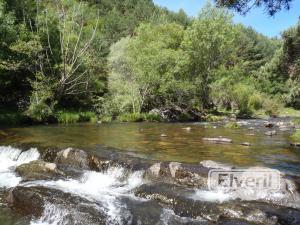 Plancha de Galve, enviado por: cachuelo (No registrado)