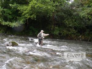 CON MUCHA AGUA, sent by: ricardo (Not registered)