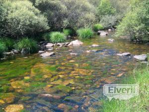 Agua, enviado por: anónimo (No registrado)