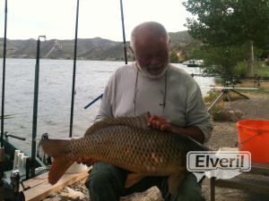 CARPA Almatret, sent by: ALMAEBRE