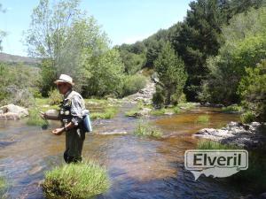 Luis pescando en el Sorbe, enviado por: N (No registrado)