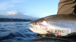 Arcoiris del Nahuel Huapi, sent by: Daniel (Not registered)