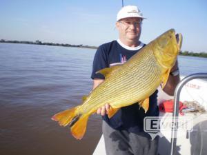 MAs dorados, sent by: El Andarrios