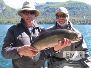 Salvelinus fontinalis, enviado por: Johansen