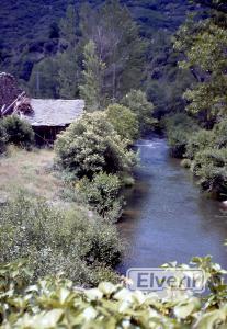 Puente de Nogar, envoyé par: PP (Non enregistré)