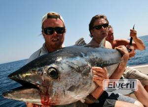 atun rojo a brumeo, enviado por: delta game fishing Riumar (No registrado)