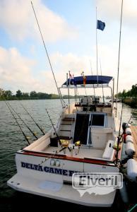 barco pesca deportiva delta del ebro, sent by: delta game fishing Riumar (Not registered)