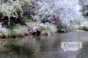 Rio Pedroso, sent by: ElVeril (Not registered)
