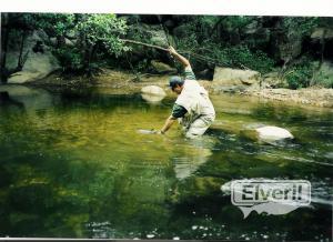 Pescando Barbos, sent by: Macabi