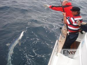 Ya esta casi a bordo..., enviado por: Administrador