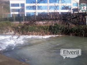 Ibai-Eder (sin muerte) en frente de corrugados Azpeitia(bº Landeta), envoyé par: ENEKO