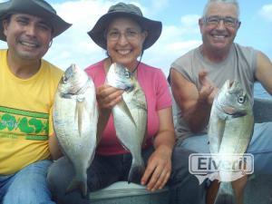 Untitled image, sent by: doradas en el delta del ebro (Not registered)