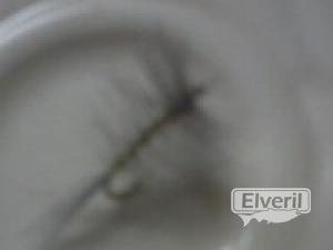 efimeras , enviado por: ENEKO