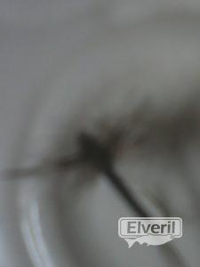 dry mosquito (nº16), enviado por: ENEKO
