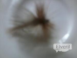 tricoptero, enviado por: ENEKO
