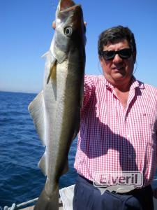 Bernardo, con uno de sus grandes abadejos a bordo del Maregalia 1º.., sent by: Maregalia 1º Charter de Pesca Rías Baixas Gal (Not registered)