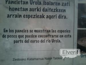 Urola(Cestona)peces que lo habitan, enviado por: ENEKO