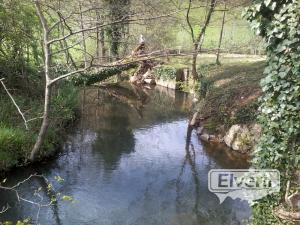 regata de lili(cestona) afluente del rio Urola, envoyé par: ENEKO