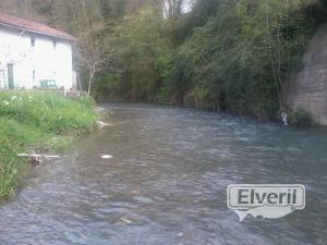 rio regil, sent by: ENEKO