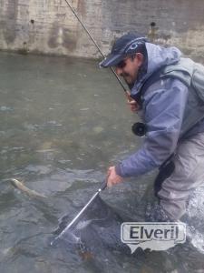 rio regil, sent by: ENEKO