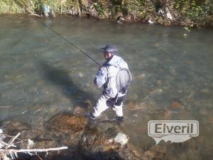 rio regil, sent by: ENEKO