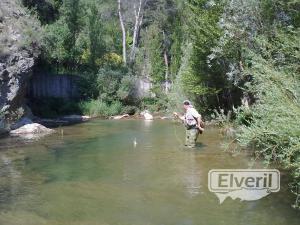 Campeonato Provincial de Albacete 2011, enviado por: Marco Campillo (Hellin) (No registrado)