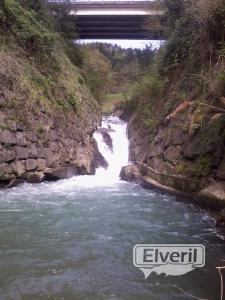 Rio Regil(afluente del Ibai-Eder), sent by: ENEKO