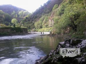 rio bidasoa(apertura salmon), sent by: ENEKO