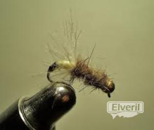canutillo de agua, sent by: erreka (Not registered)