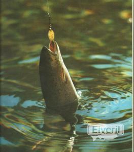 a cucharilla dorada, sent by: iml (Not registered)